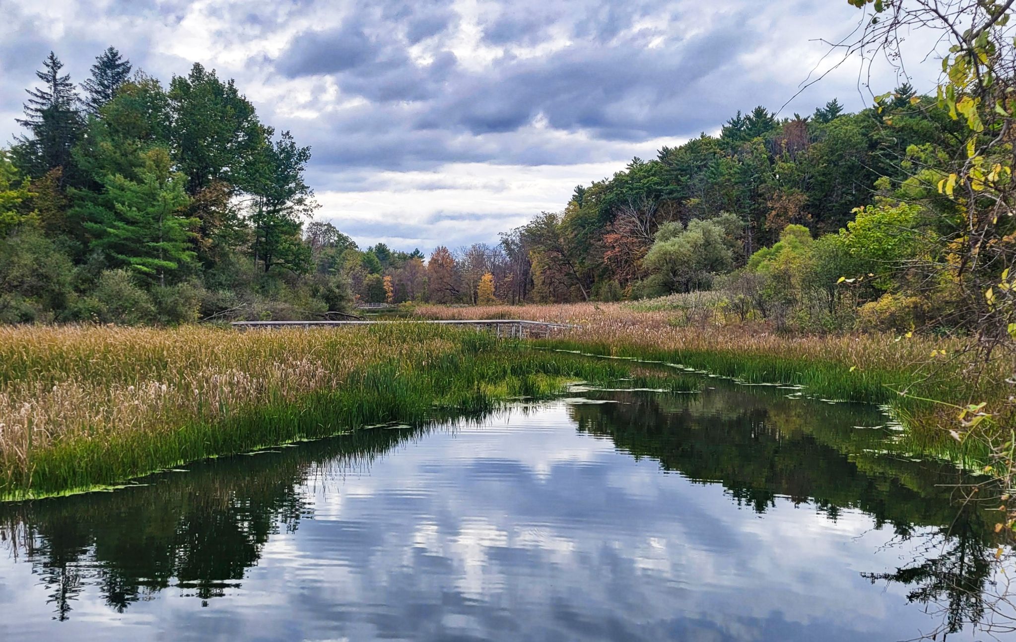 Community photo by Lorraine