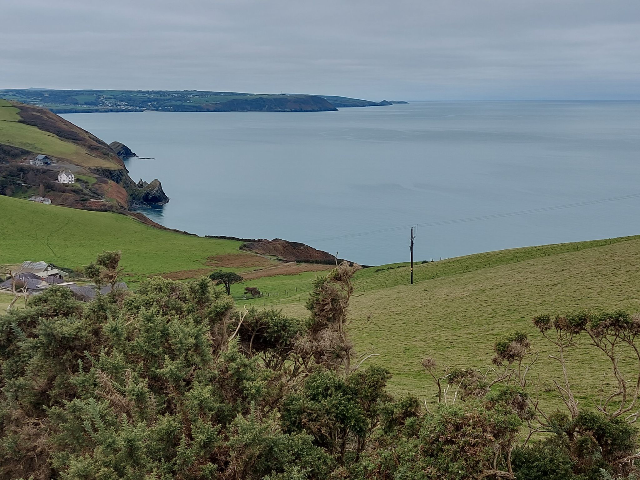 Community photo by Anne Read | Llangranogg west wales