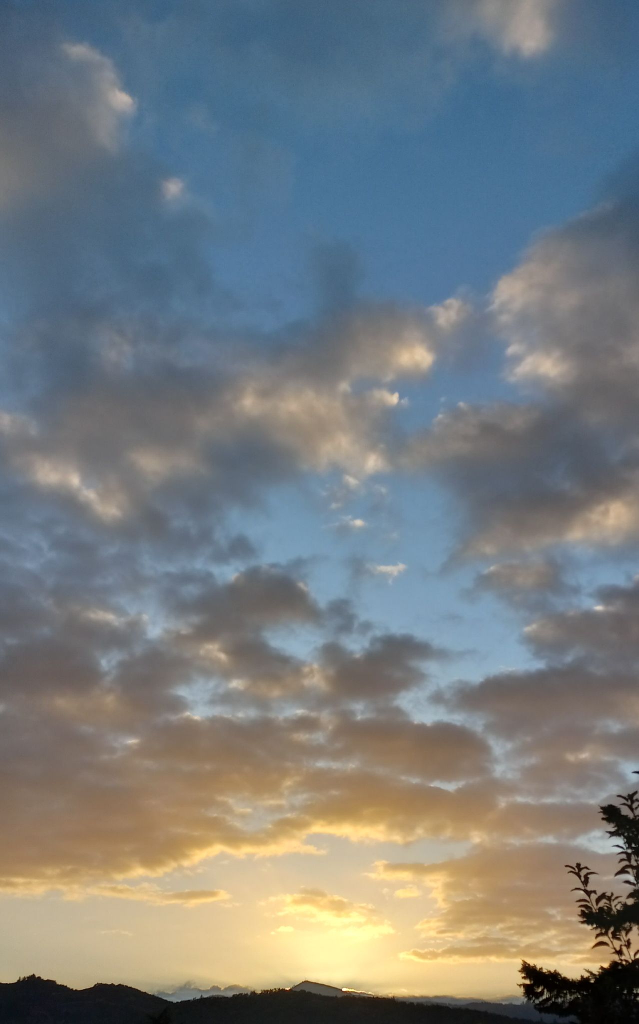 Community photo by Dolores de la Fuente | Roseburg, Oregon