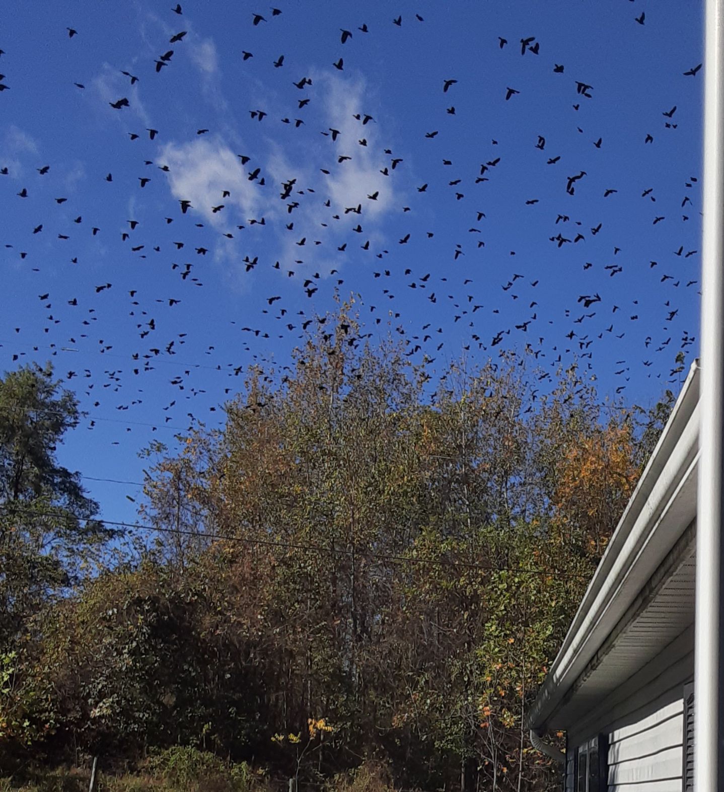 Community photo by Shannon