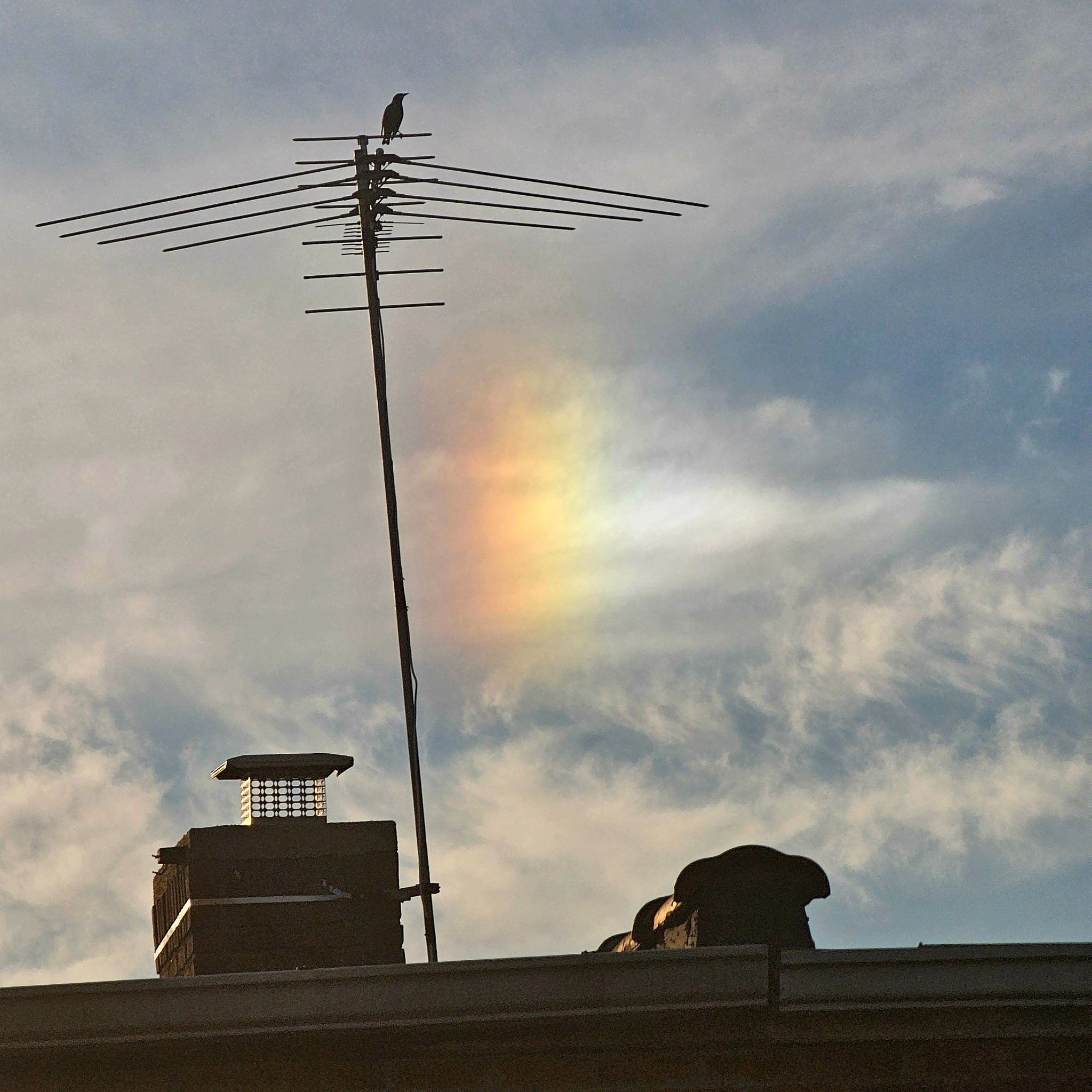 Community photo by Mark