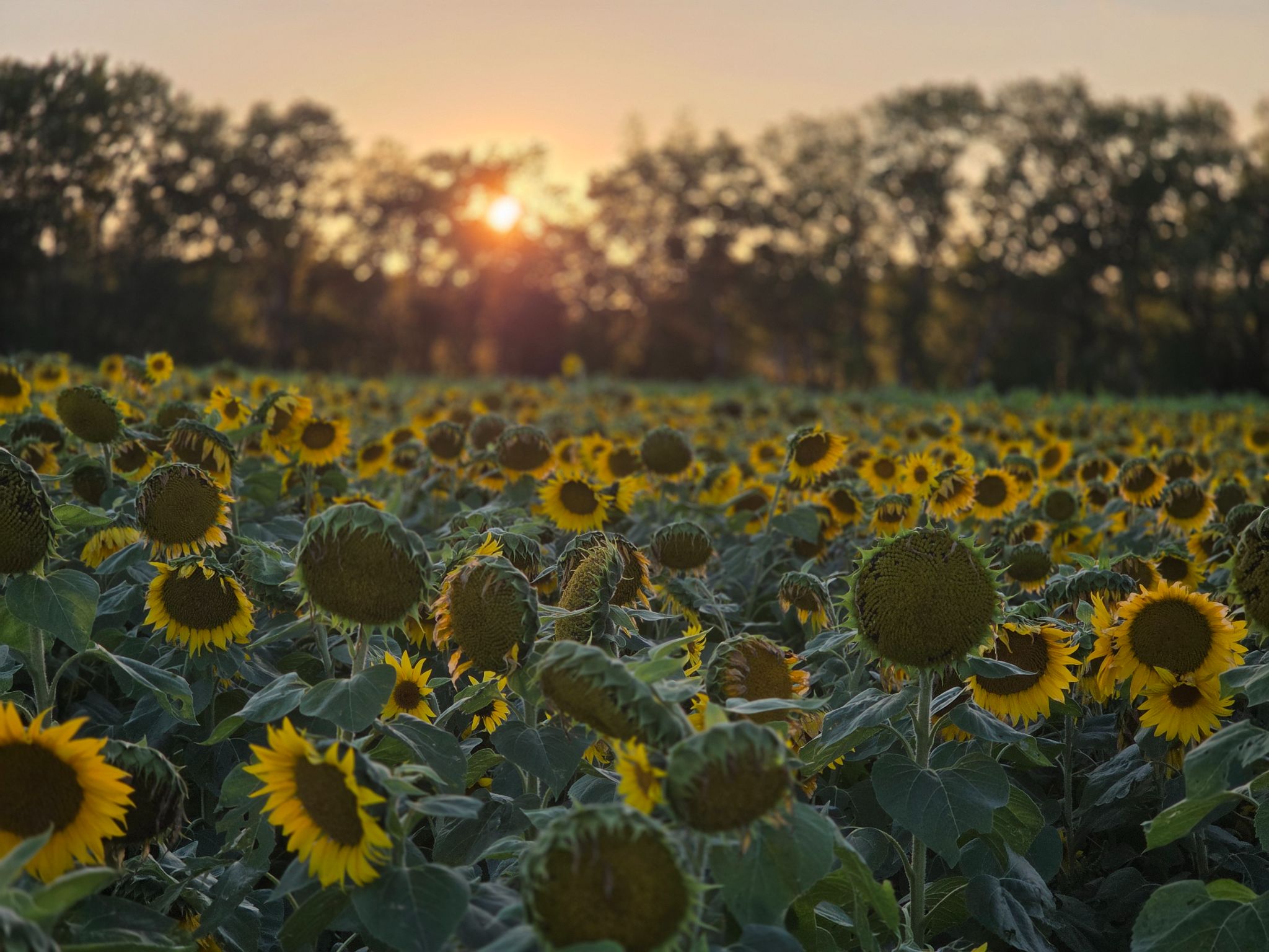 Community photo by Megan