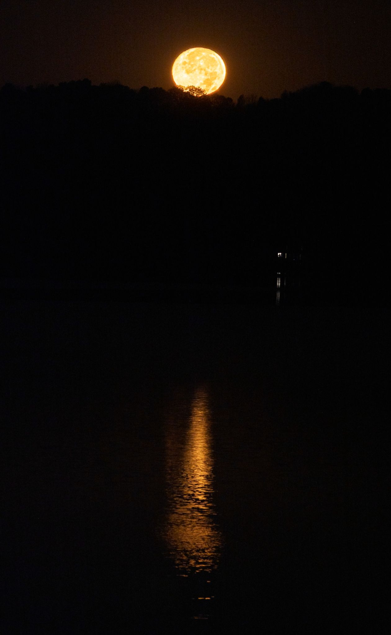 Community photo by Maria Cruz | South China, Maine