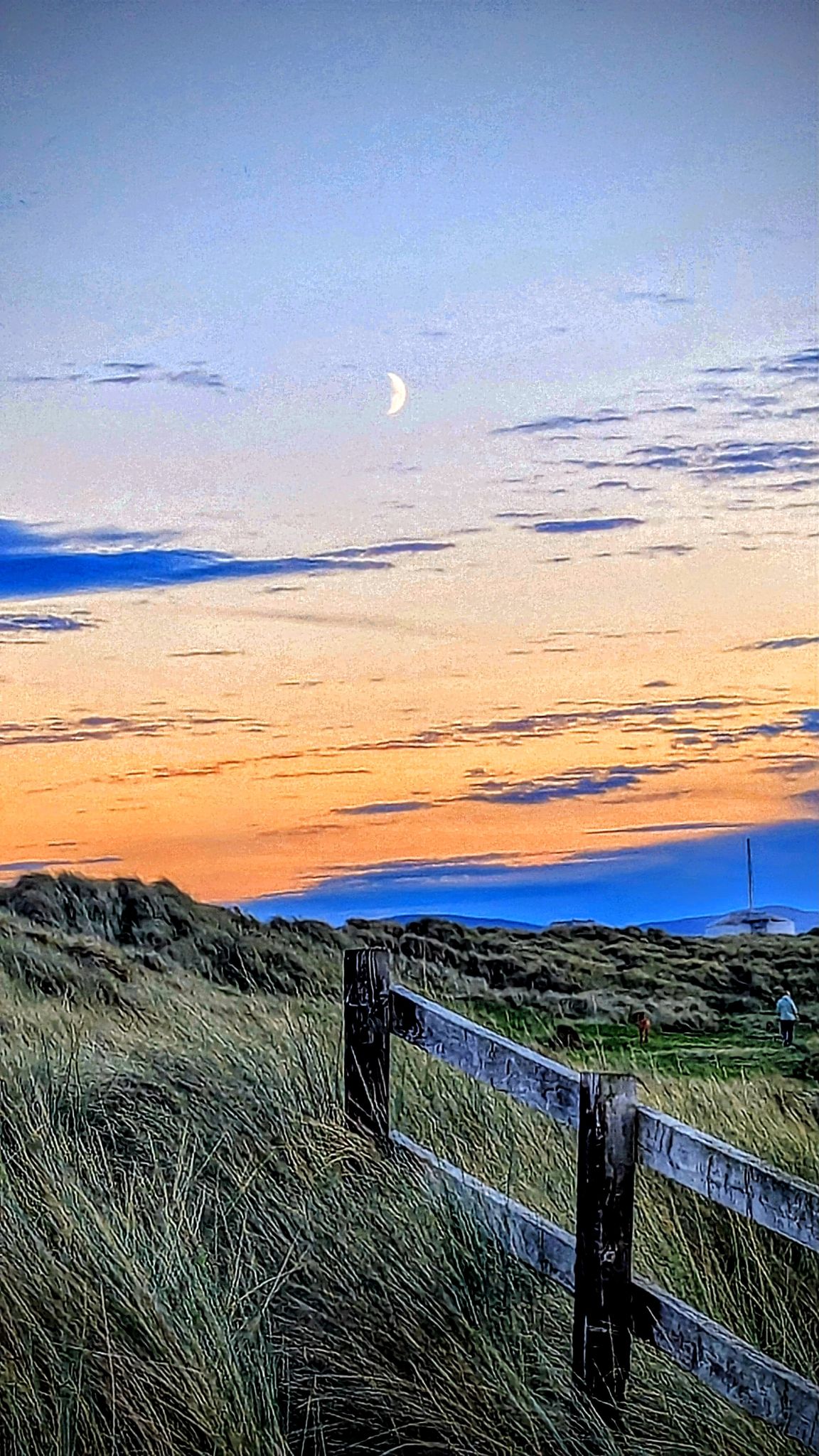 Community photo by kevan hubbard | Teesmouth Nature Reserve,Co Durham, England