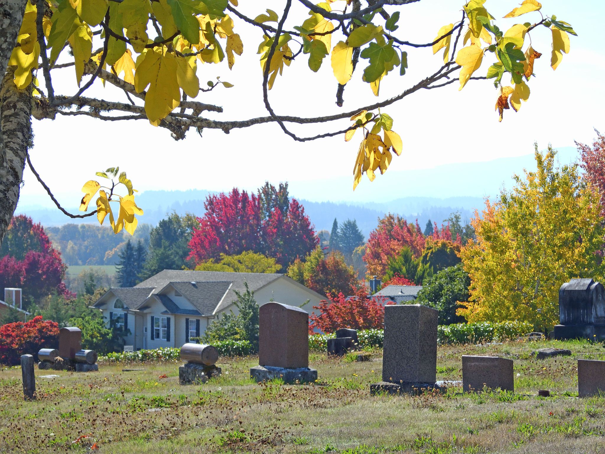 Community photo by Cecille Kennedy | Philomath, Oregon