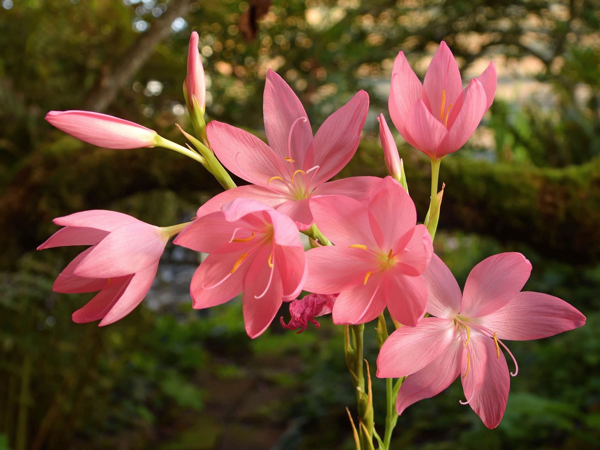 Community photo by Cecille Kennedy | Oregon Coast, Oregon