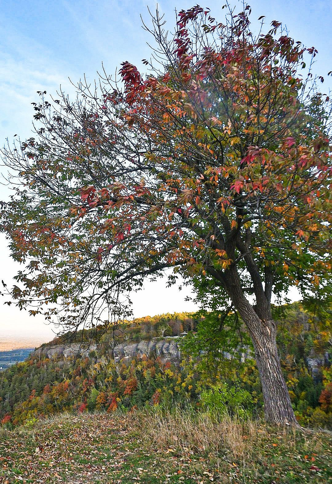 Community photo by Lorraine