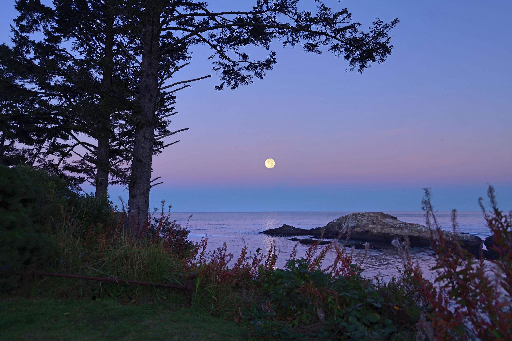 Community photo by Cecille Kennedy | Depoe Bay, Oregon