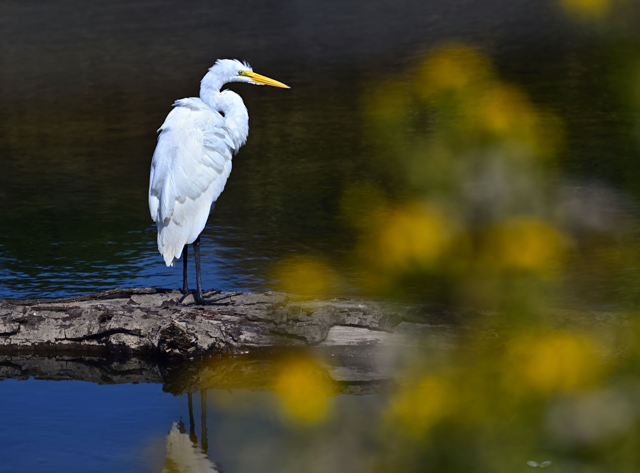 Community photo by Cecille