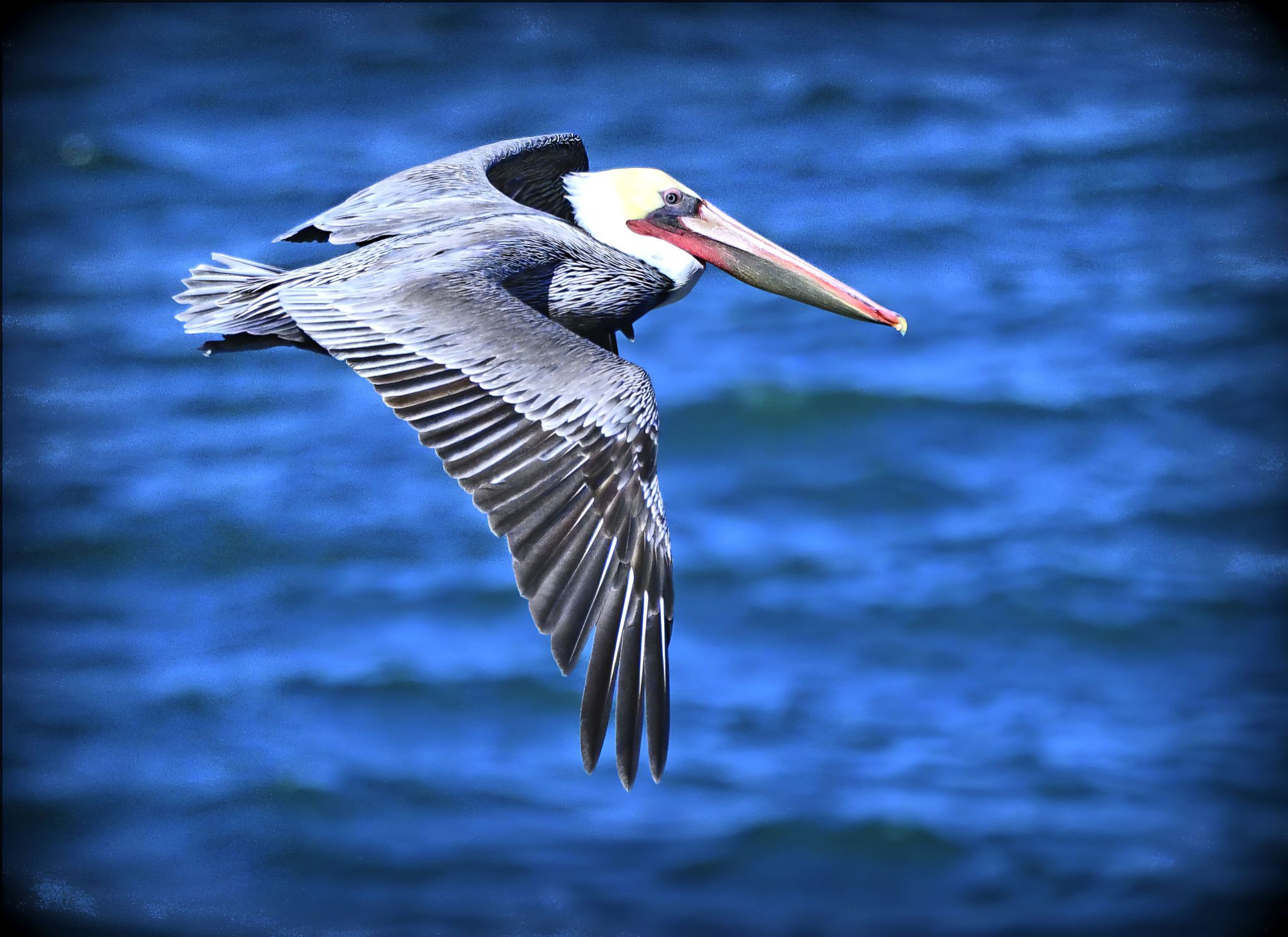 Community photo by Cecille