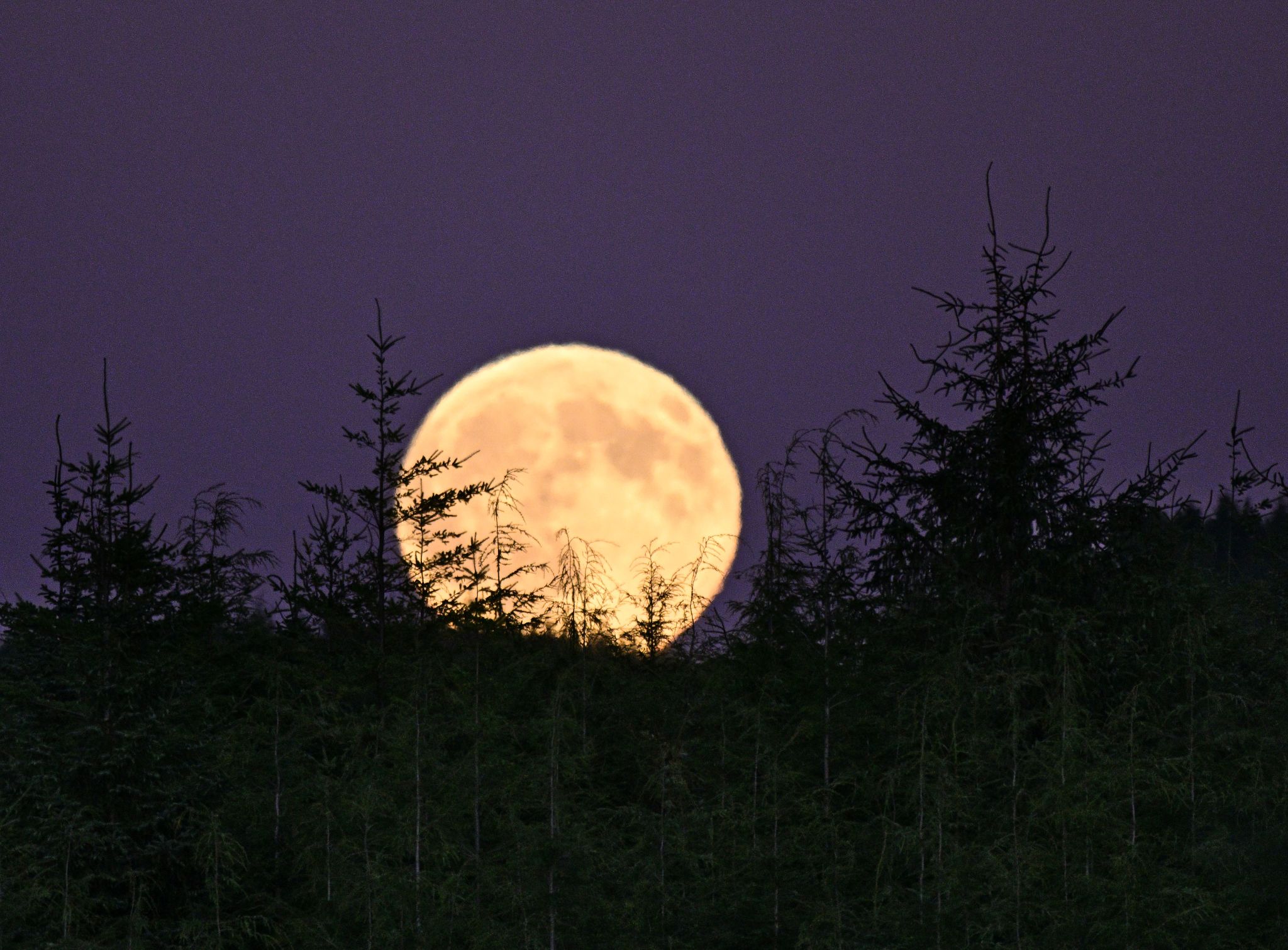 Community photo by Cecille