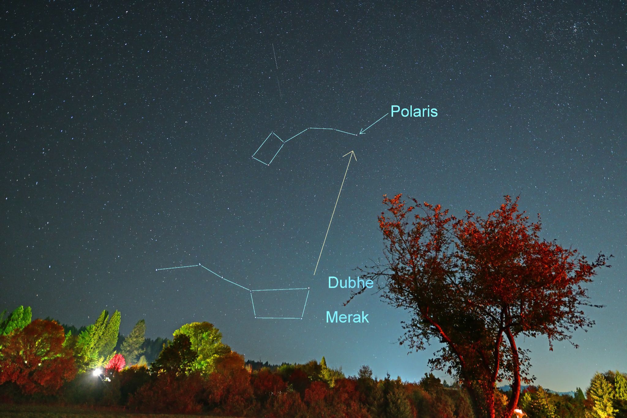 Community photo by Cecille Kennedy | Philomath, Oregon