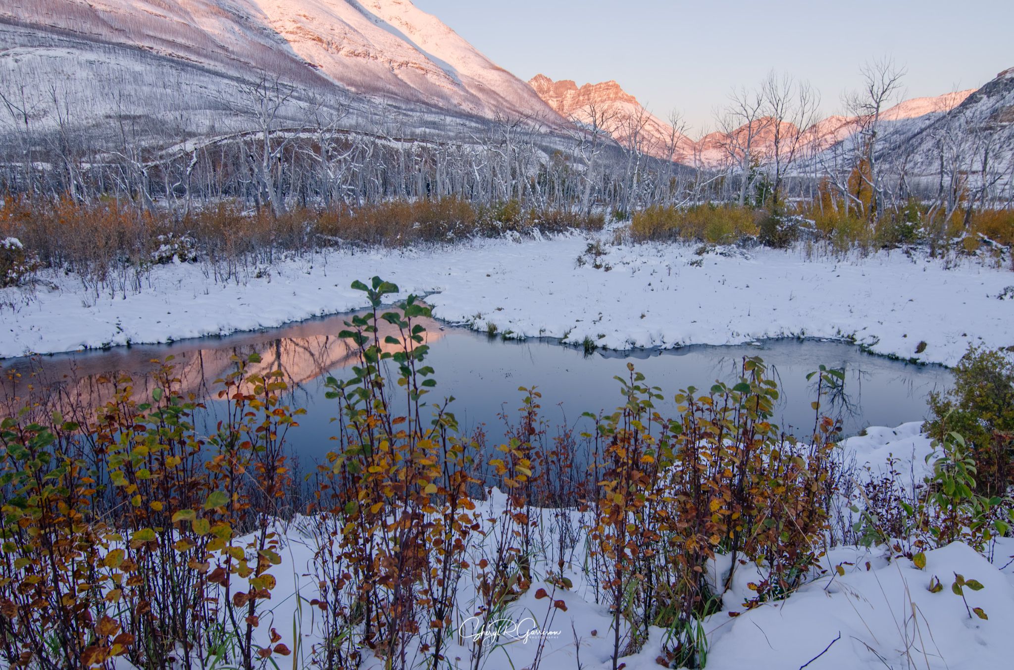 Community photo by Sheryl R Garrison | Waterton Lakes National Park, AB Canada