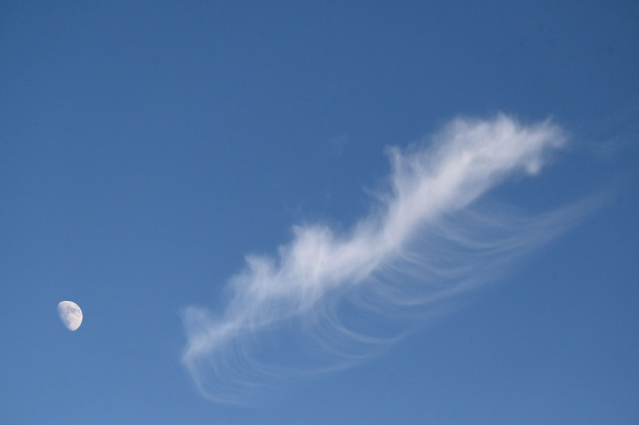 Community photo by Frank Lu | Arlington, Texas, USA