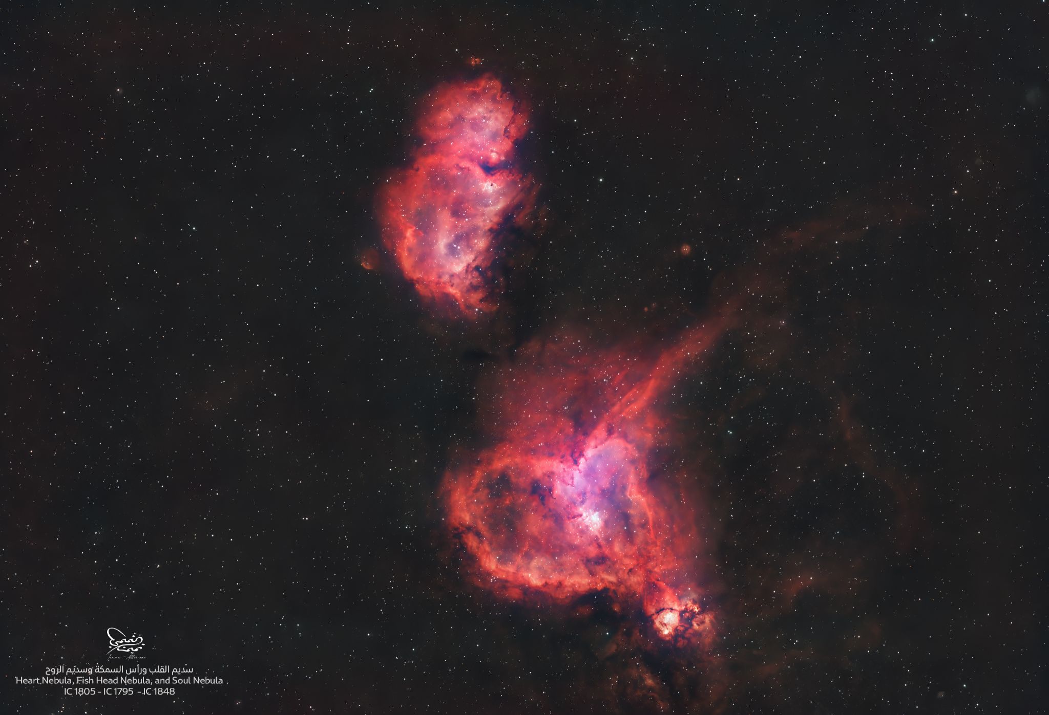 Community photo by Tameem Altameemi | United Arab Emirates