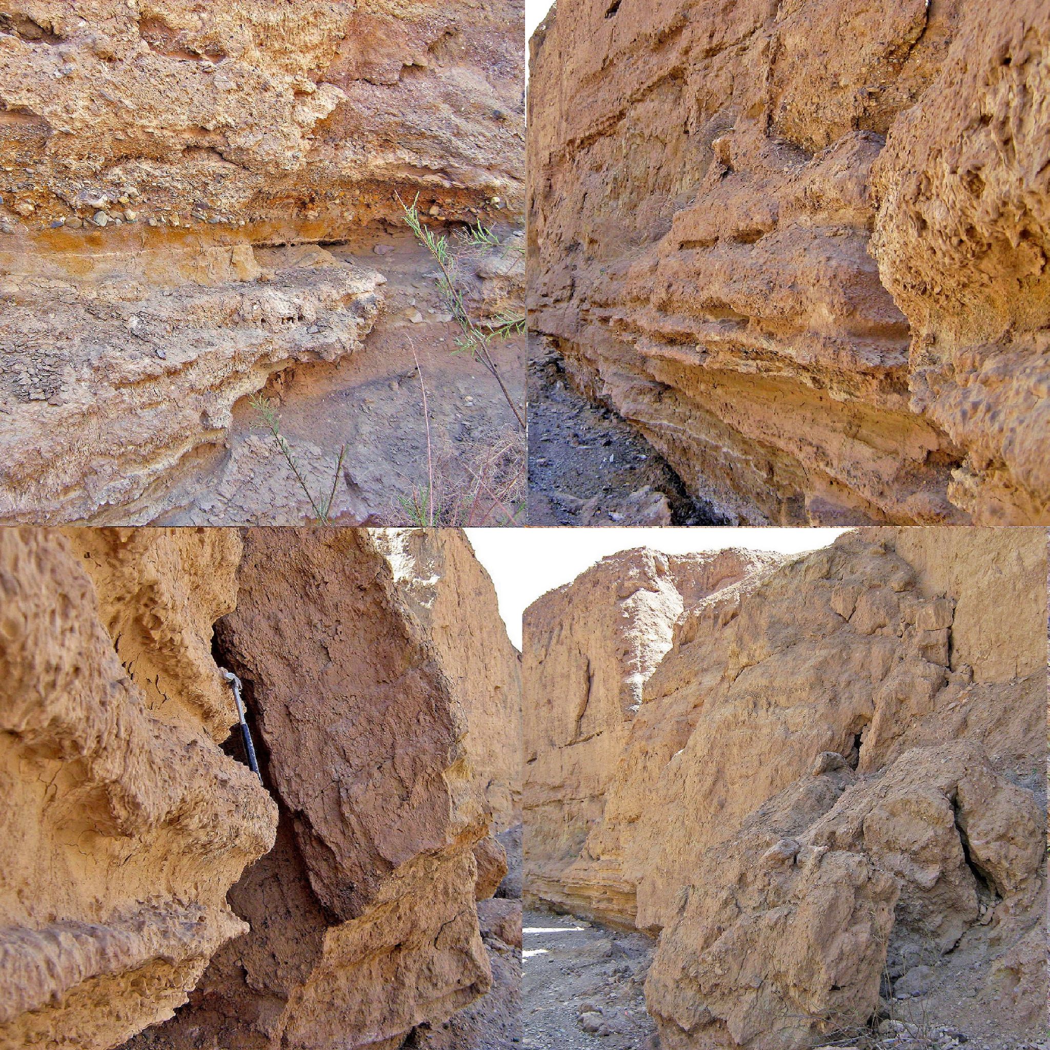 Community photo by Hassan