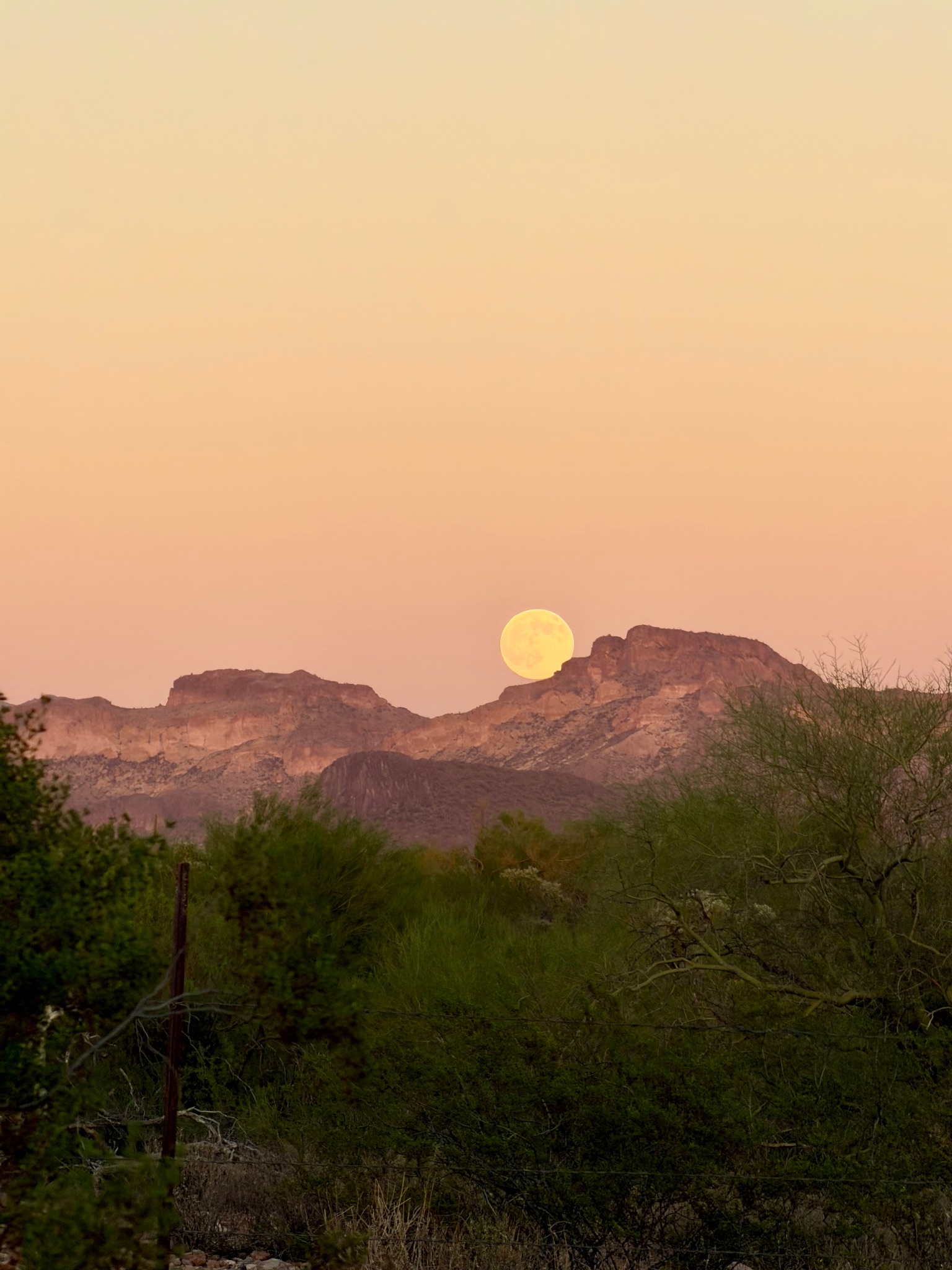 Community photo by Kathleen Audette | Gold Canyon, Arizona