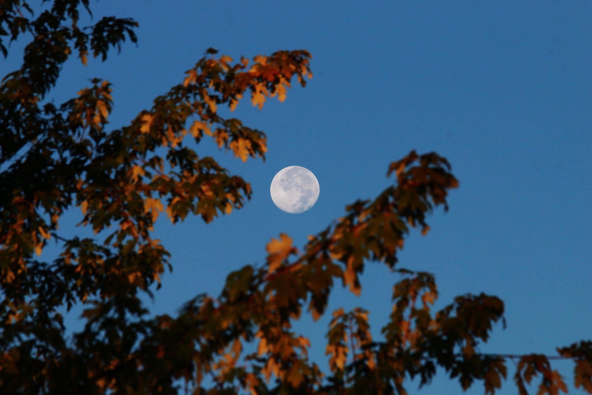 Community photo by Bill Kozar | Taylorsville, Indiana. USA