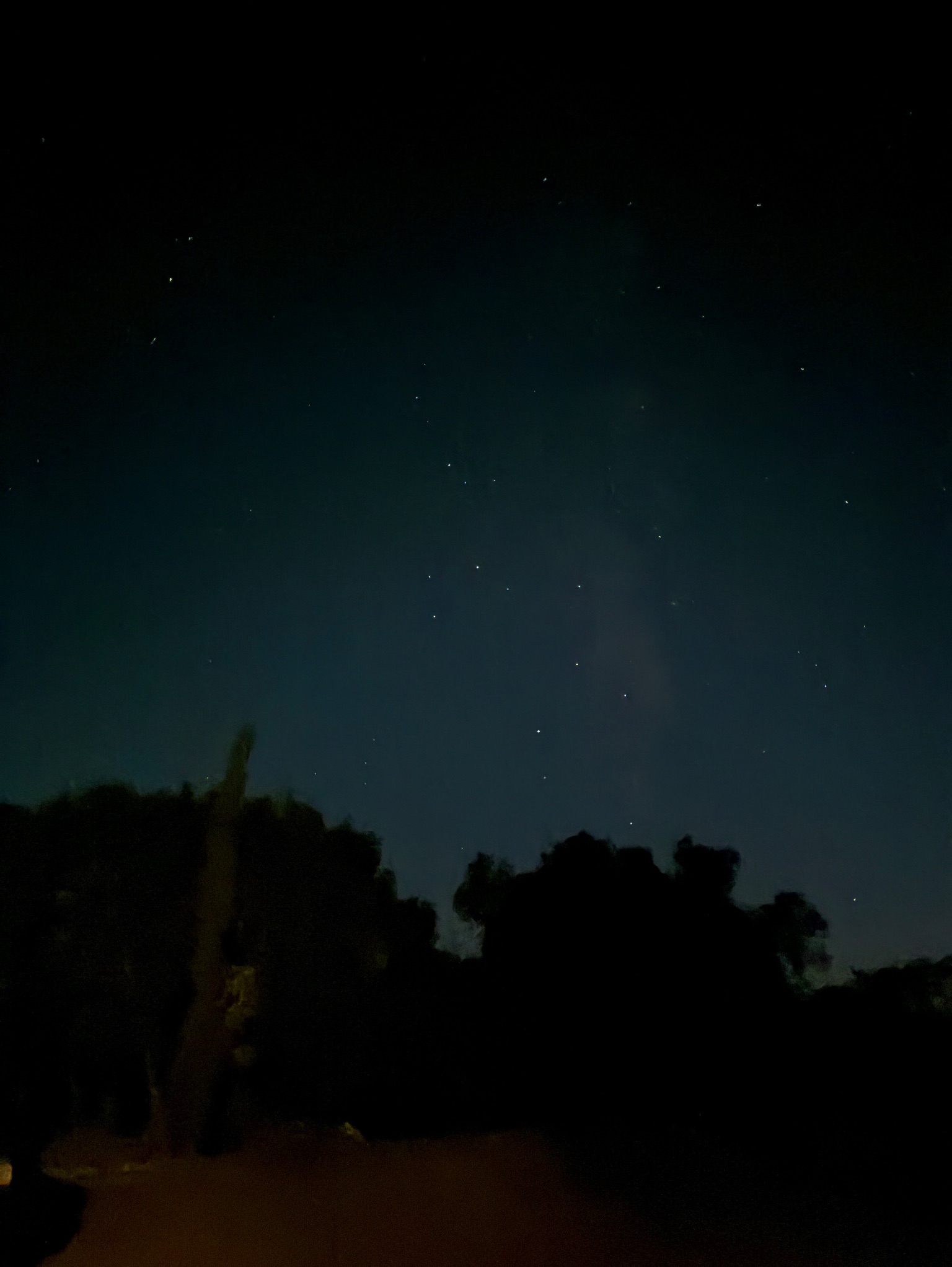 Community photo by michelle brown | Arroyo Grande, CA 93420