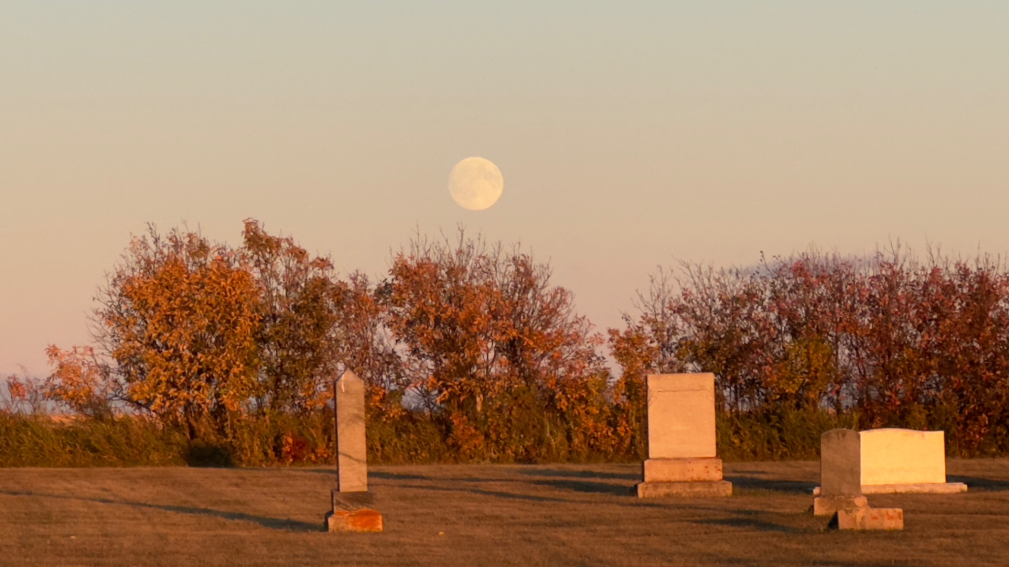 Community photo by Josephine Sane | Melfort , SK. Canada