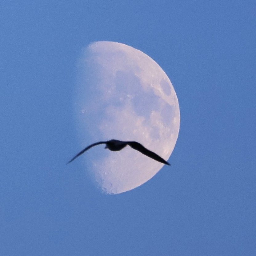 Community photo by Deirdre Horan | Dublin, Ireland.