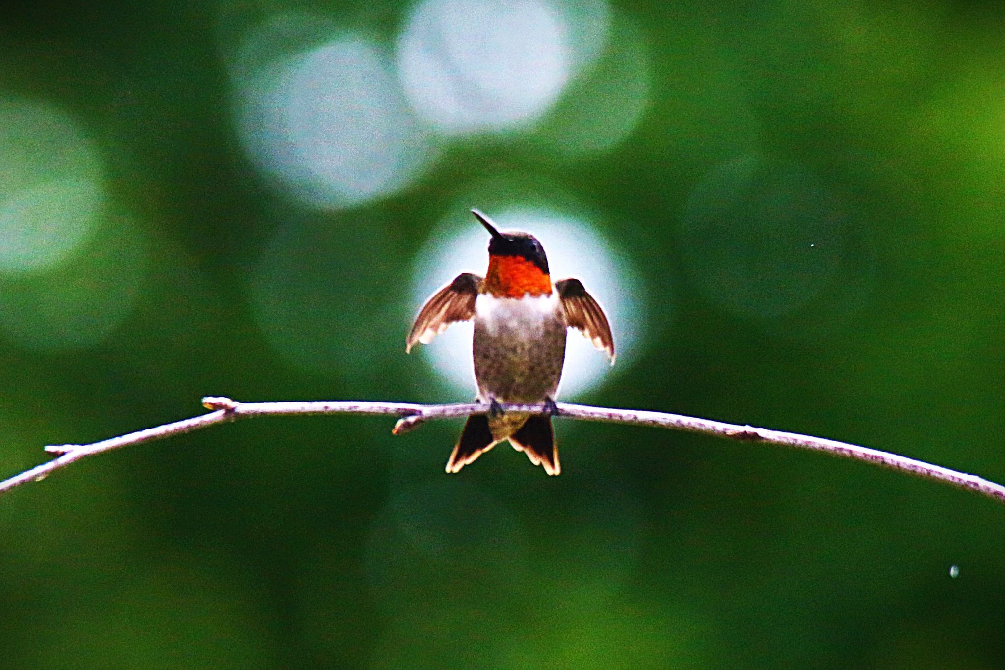 Community photo by Bill Kozar | Taylorsville, Indiana. USA