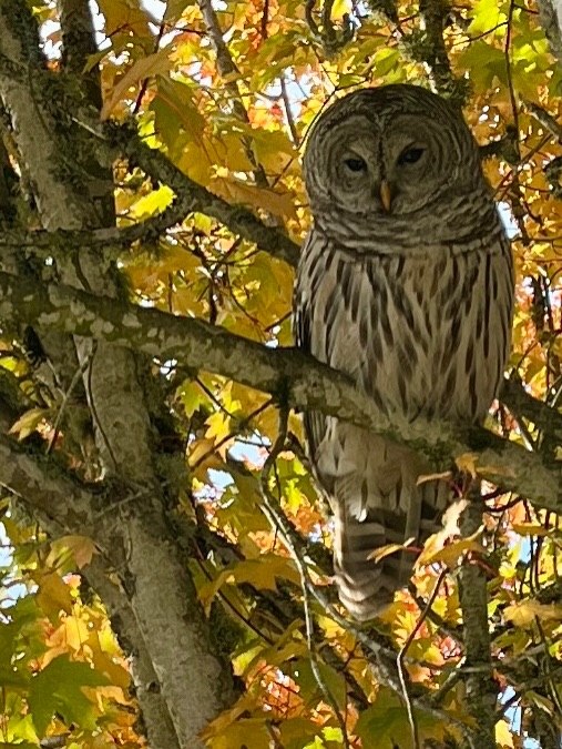 Community photo by Jan