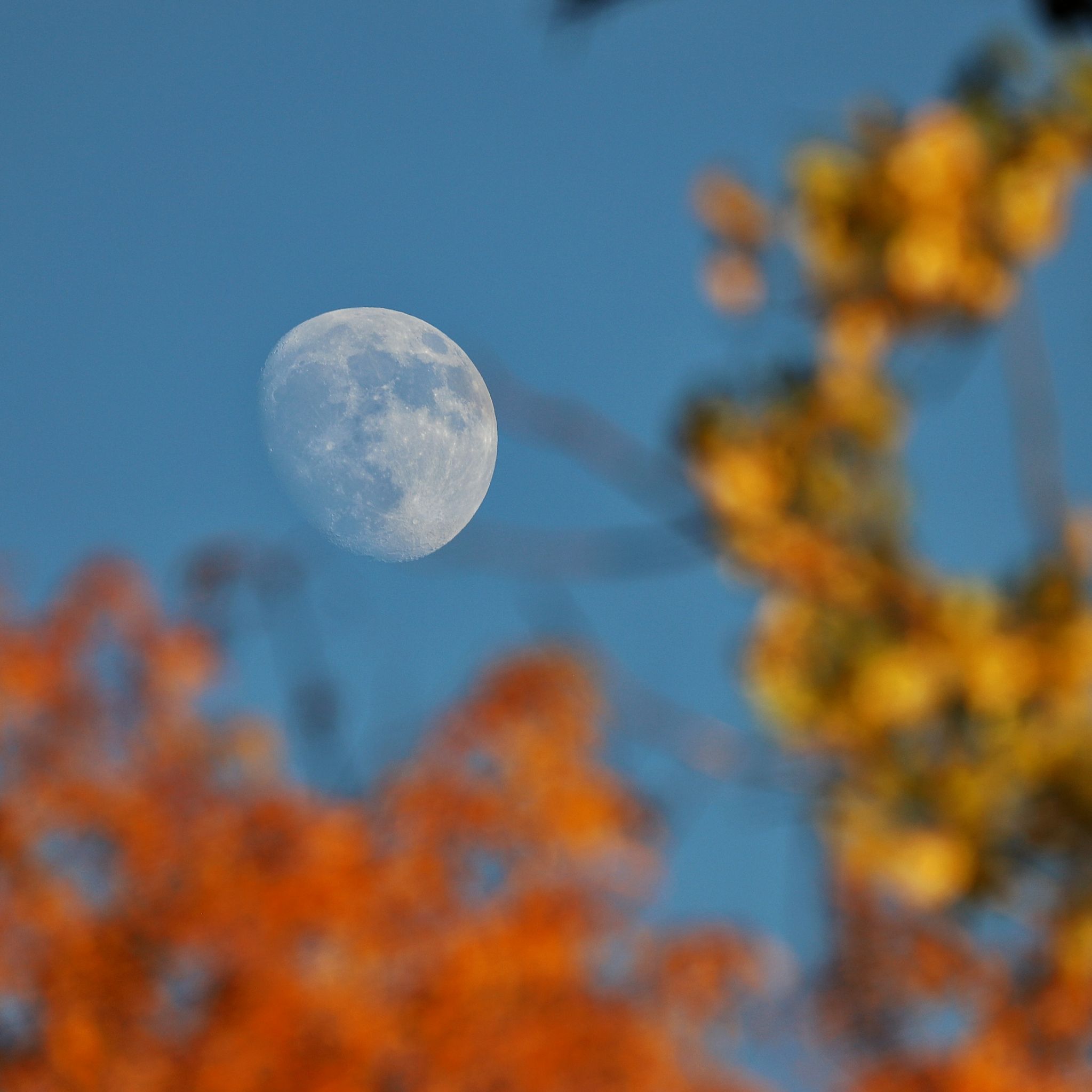 Community photo by Tawnya Silloway | Colorado Springs Colorado