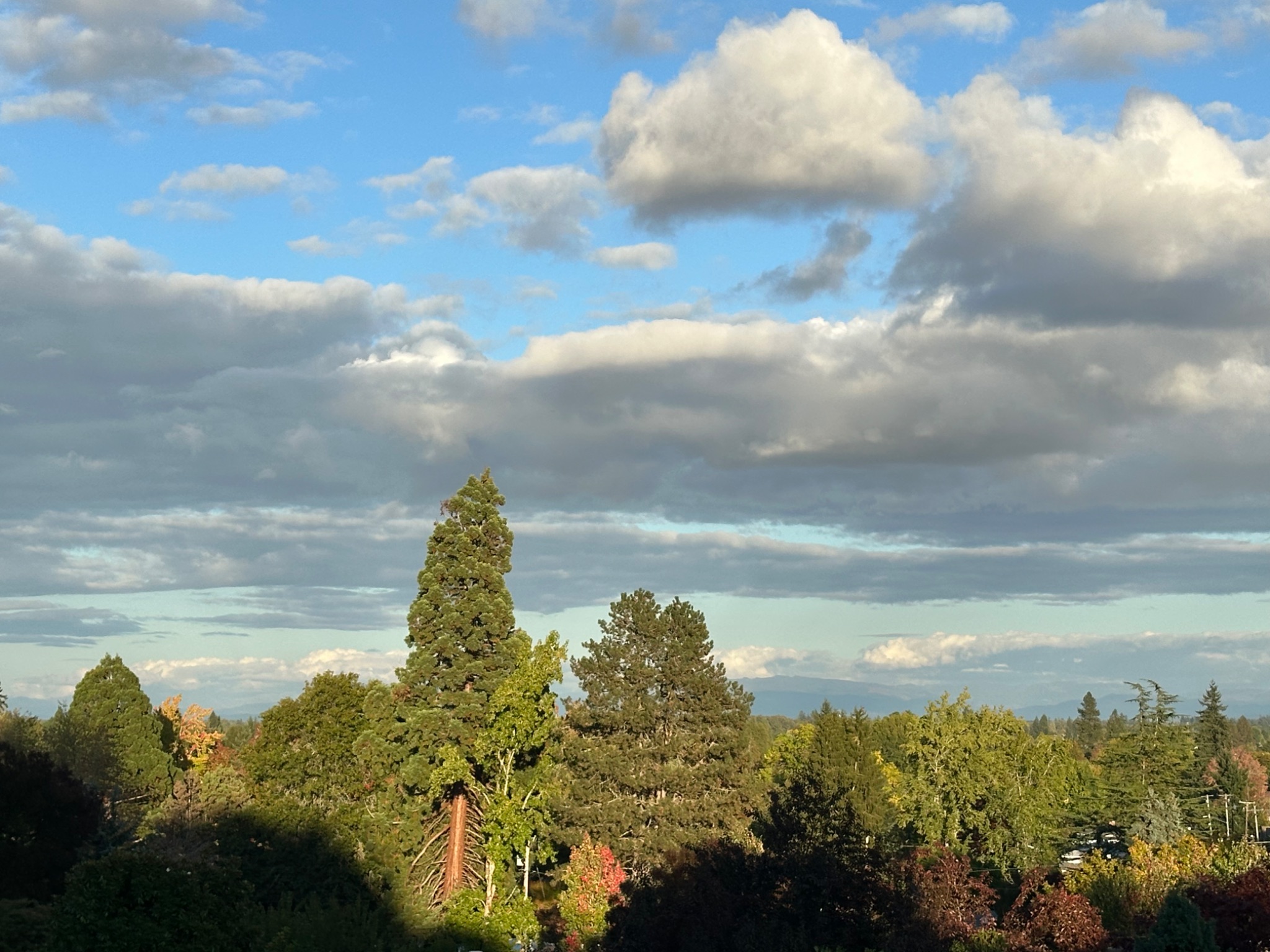 Community photo by Victoria