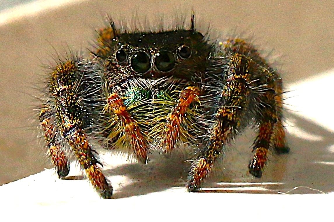 Community photo by Bill Kozar | Taylorsville, Indiana. USA