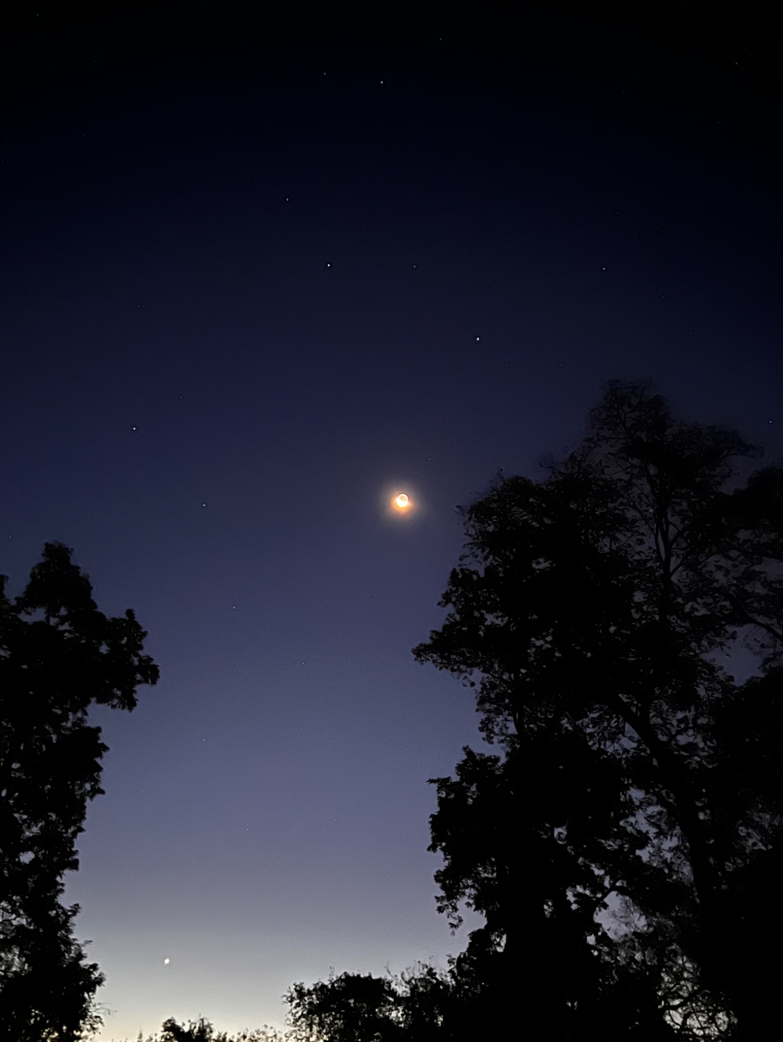 Community photo by Sudhir Sharma | Stormville, NY