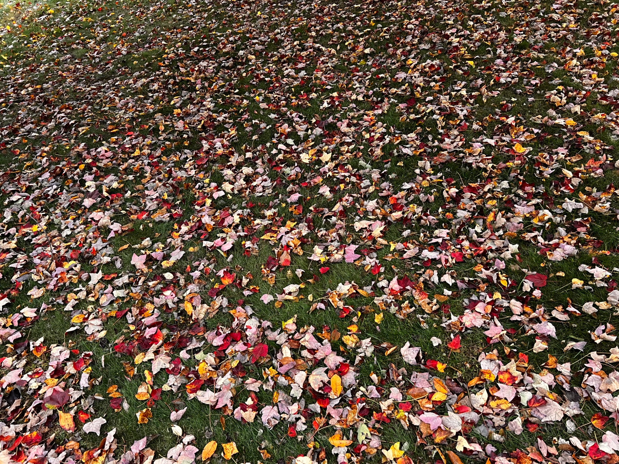 Community photo by Sudhir