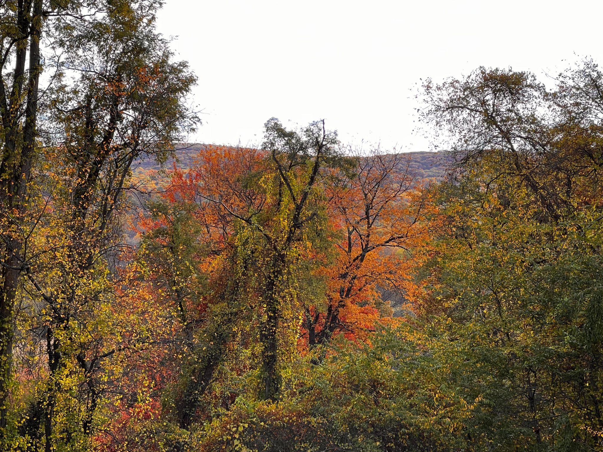 Community photo by Sudhir