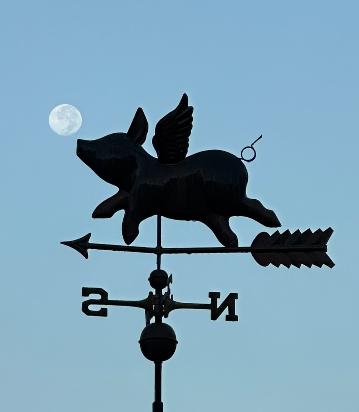 Community photo by Marjorie Rief | Micanopy, FL