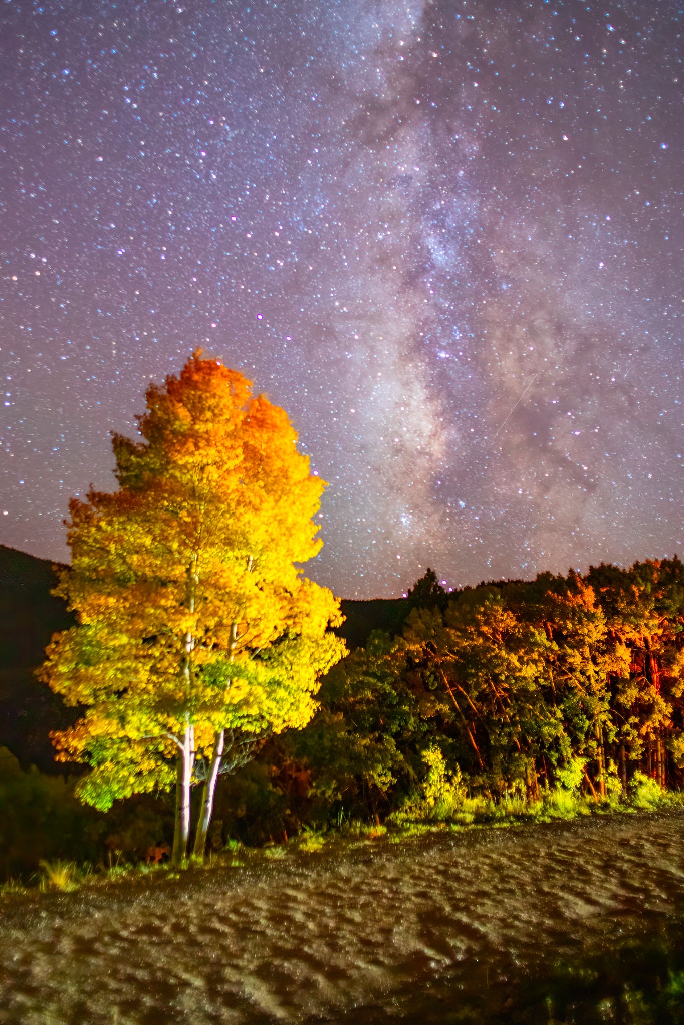 Community photo by Joe