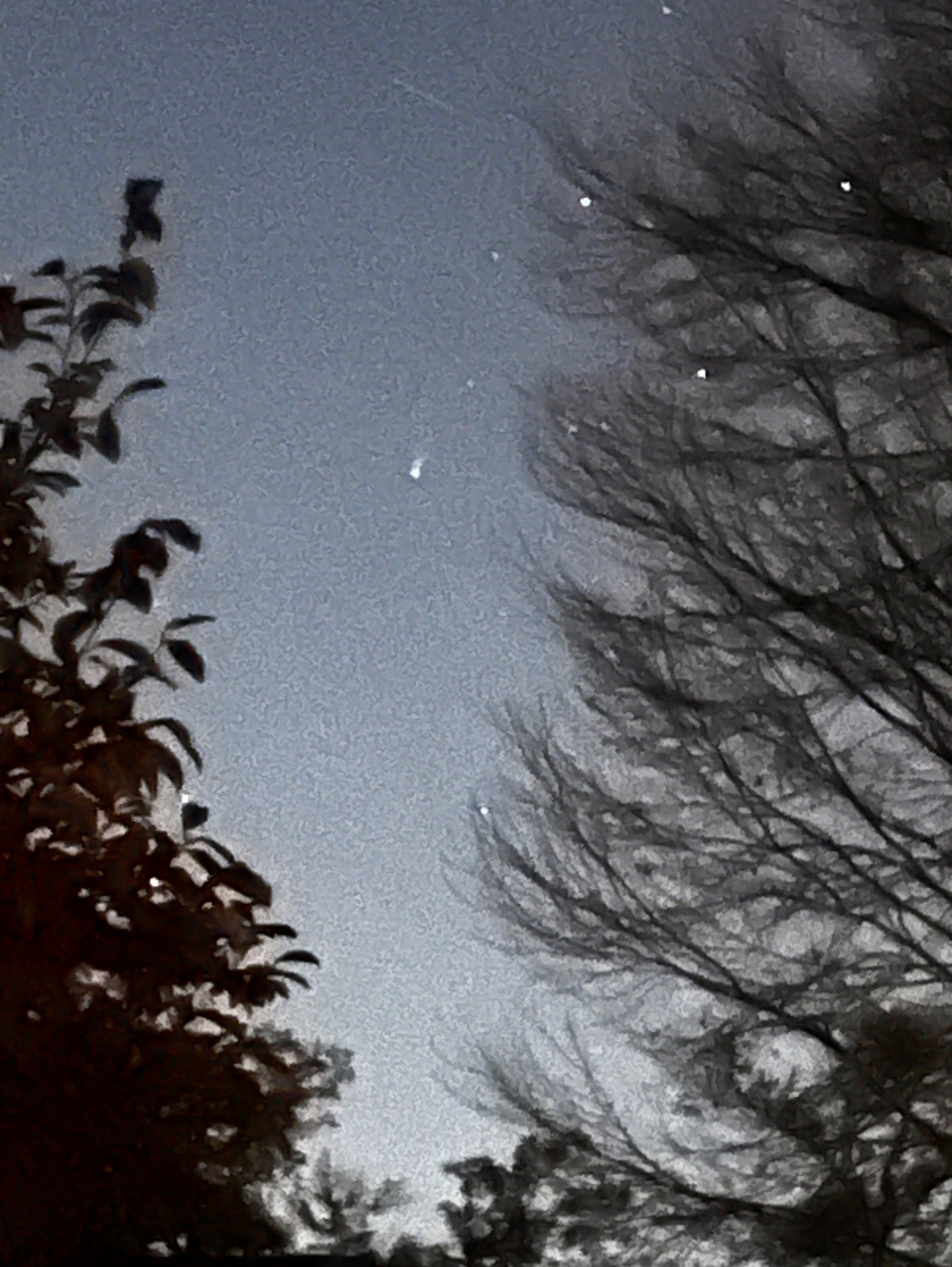 Community photo by Sudhir