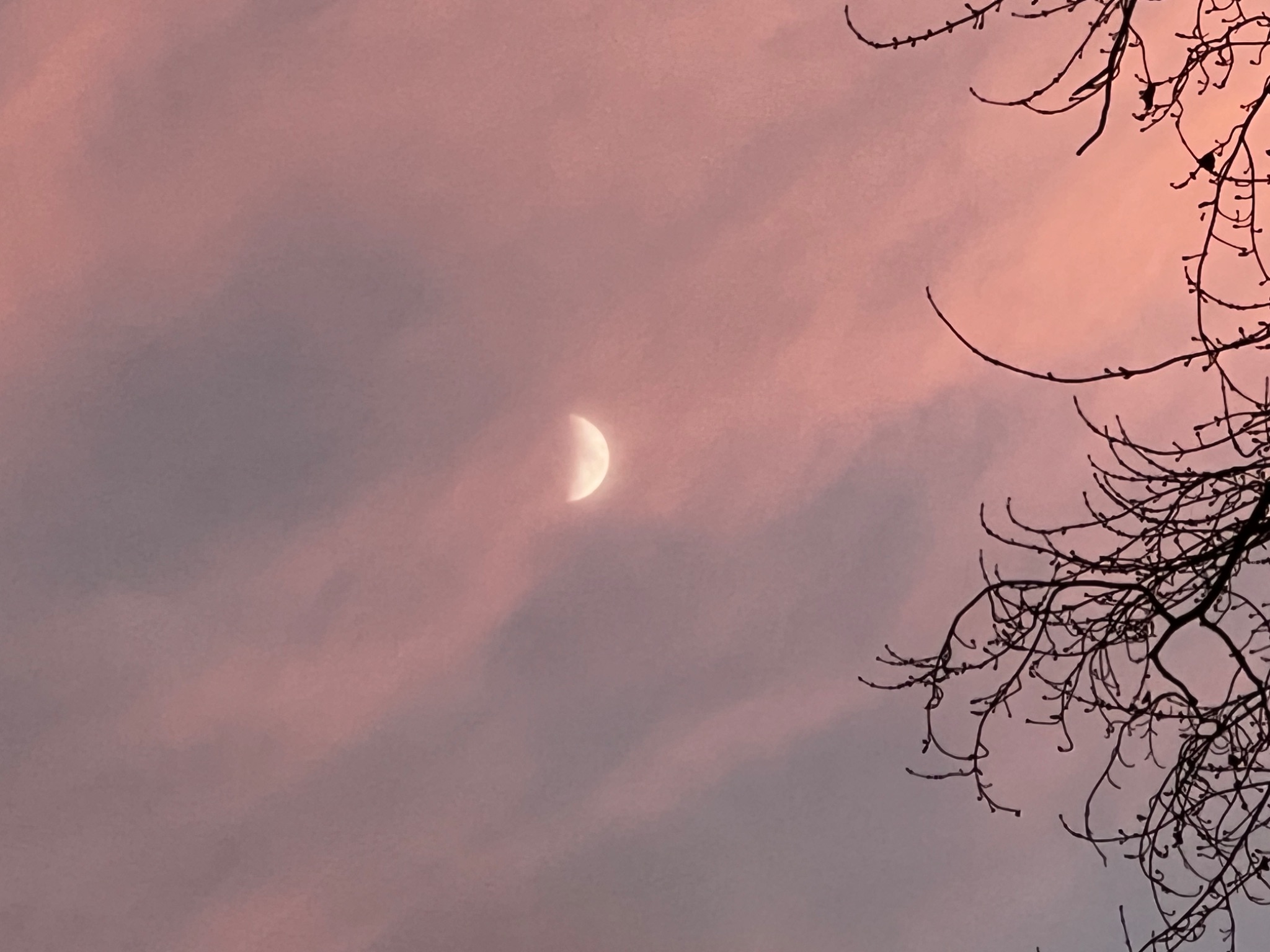 Community photo by Sudhir Sharma | Stormville, NY