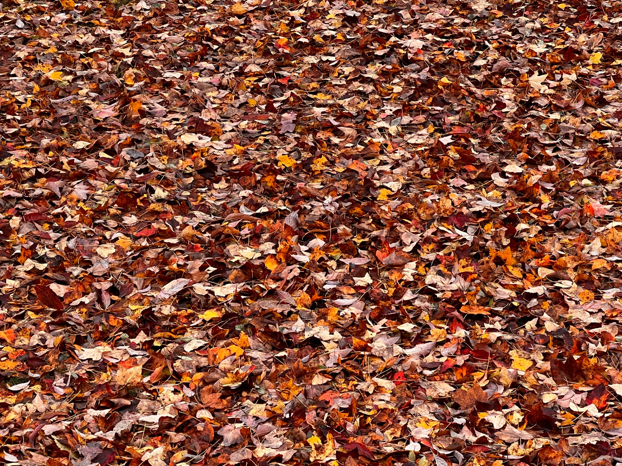 Community photo by Sudhir