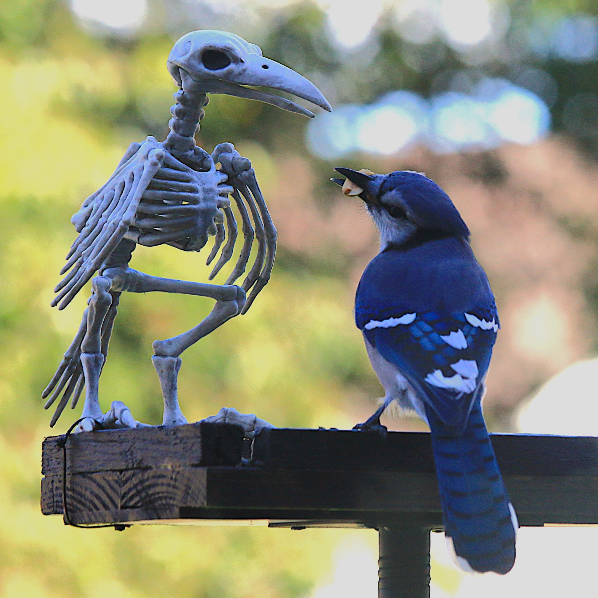 Community photo by Bill Kozar | Taylorsville, Indiana. USA