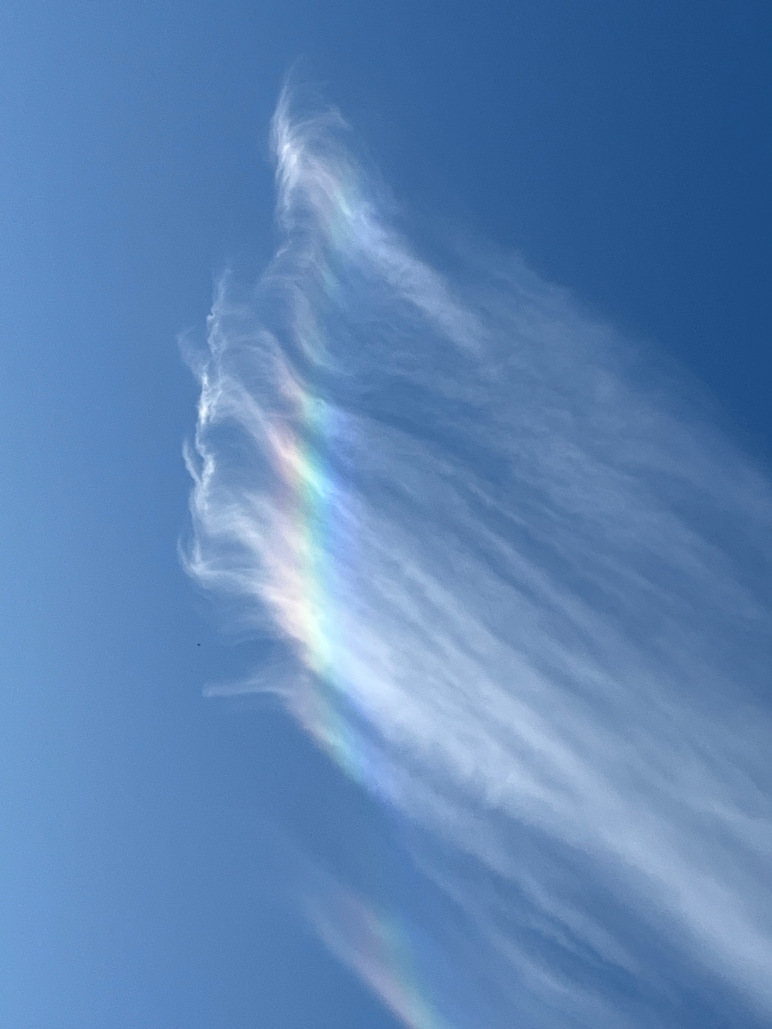 Community photo by Danielle