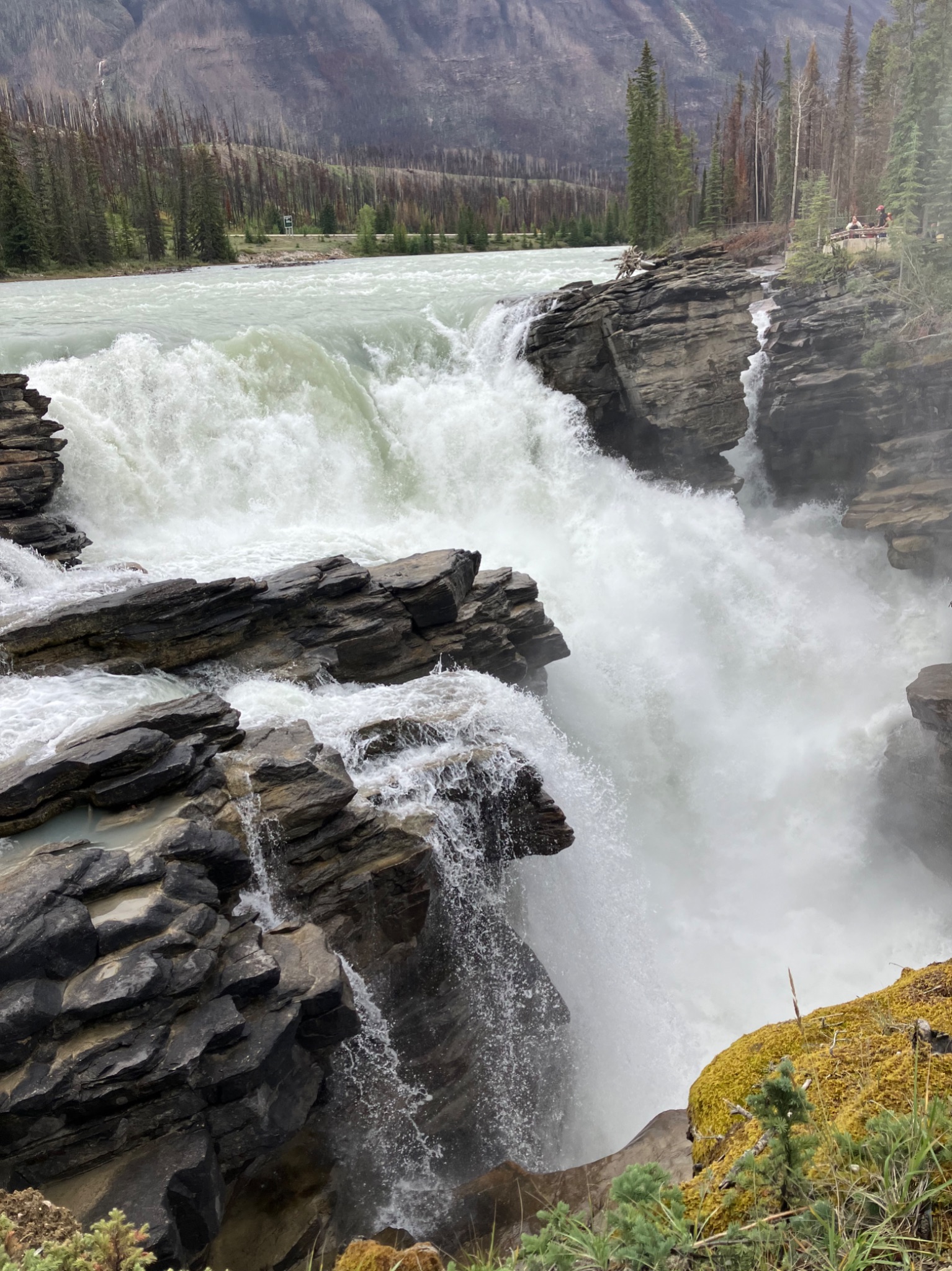 Community photo by Jill