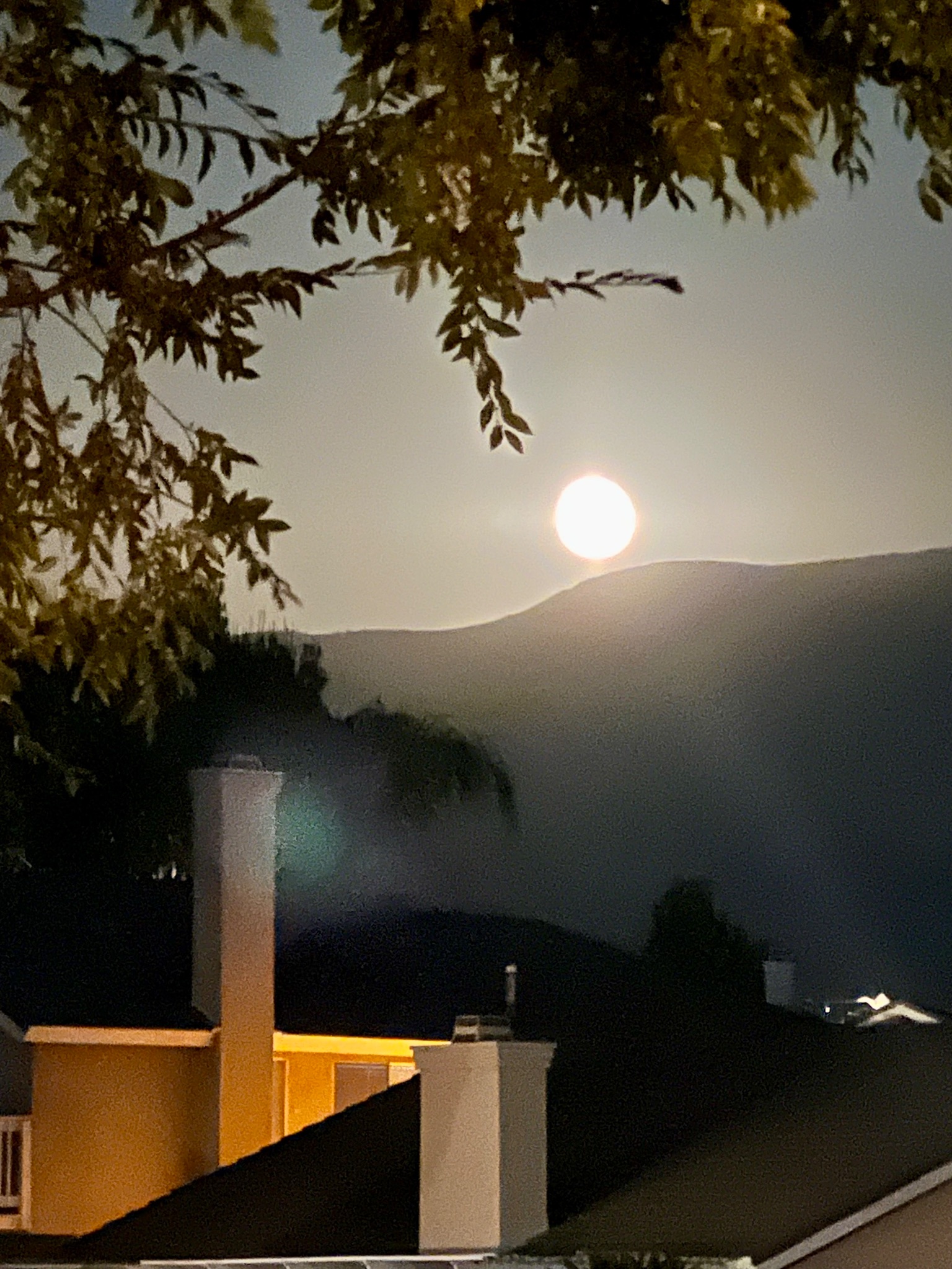 Community photo by Dolores Moreno | Highland, CA