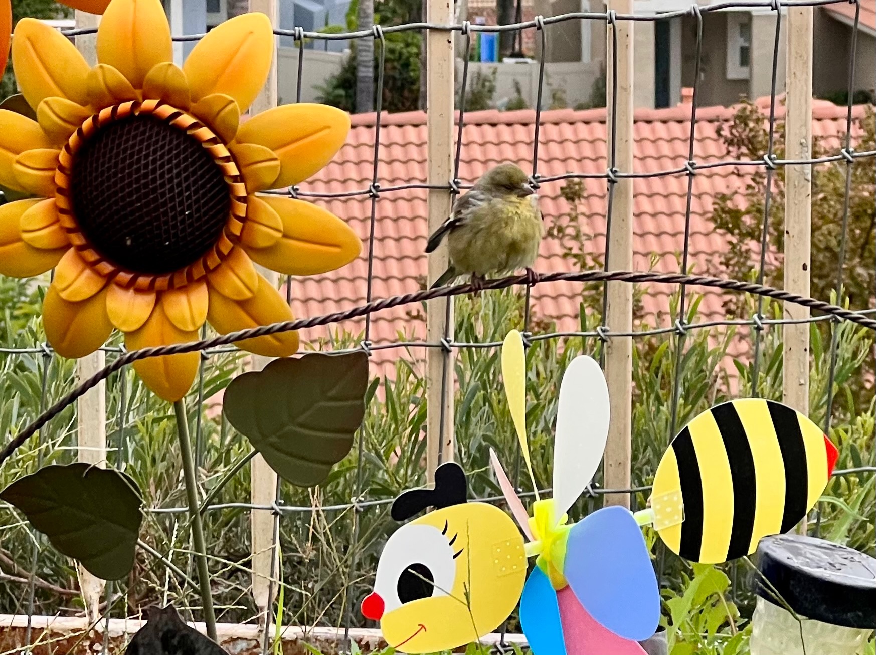 Community photo by Dolores Moreno | Highland, CA