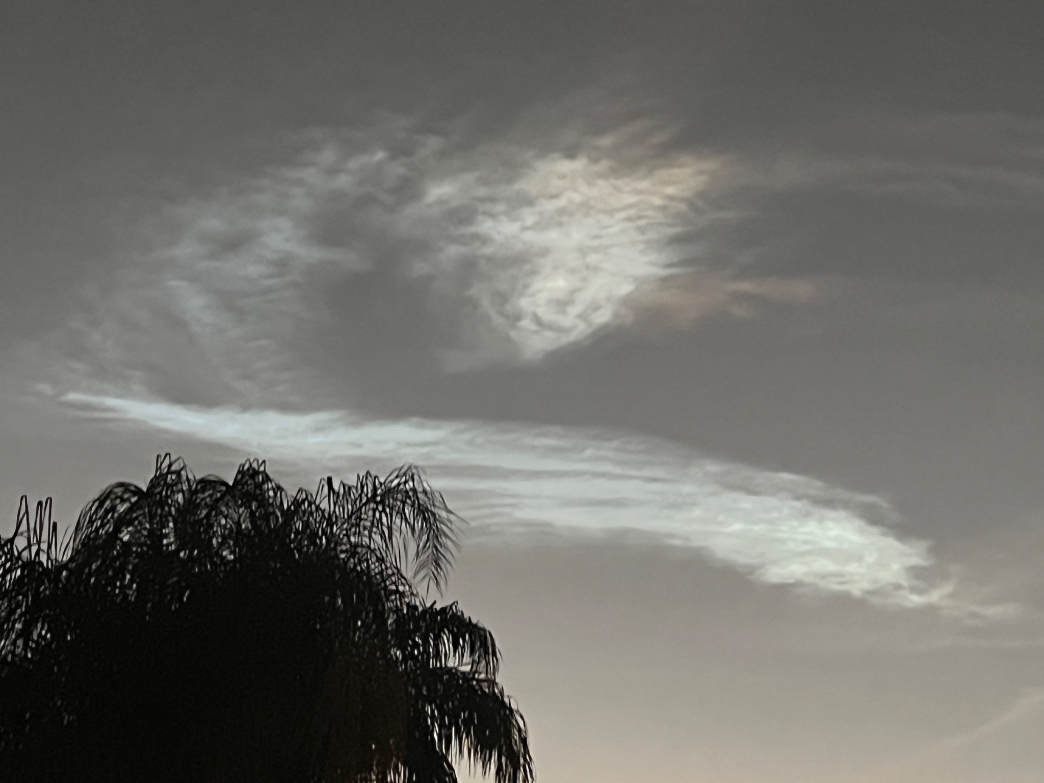 Community photo by Dolores Moreno | Highland, CA