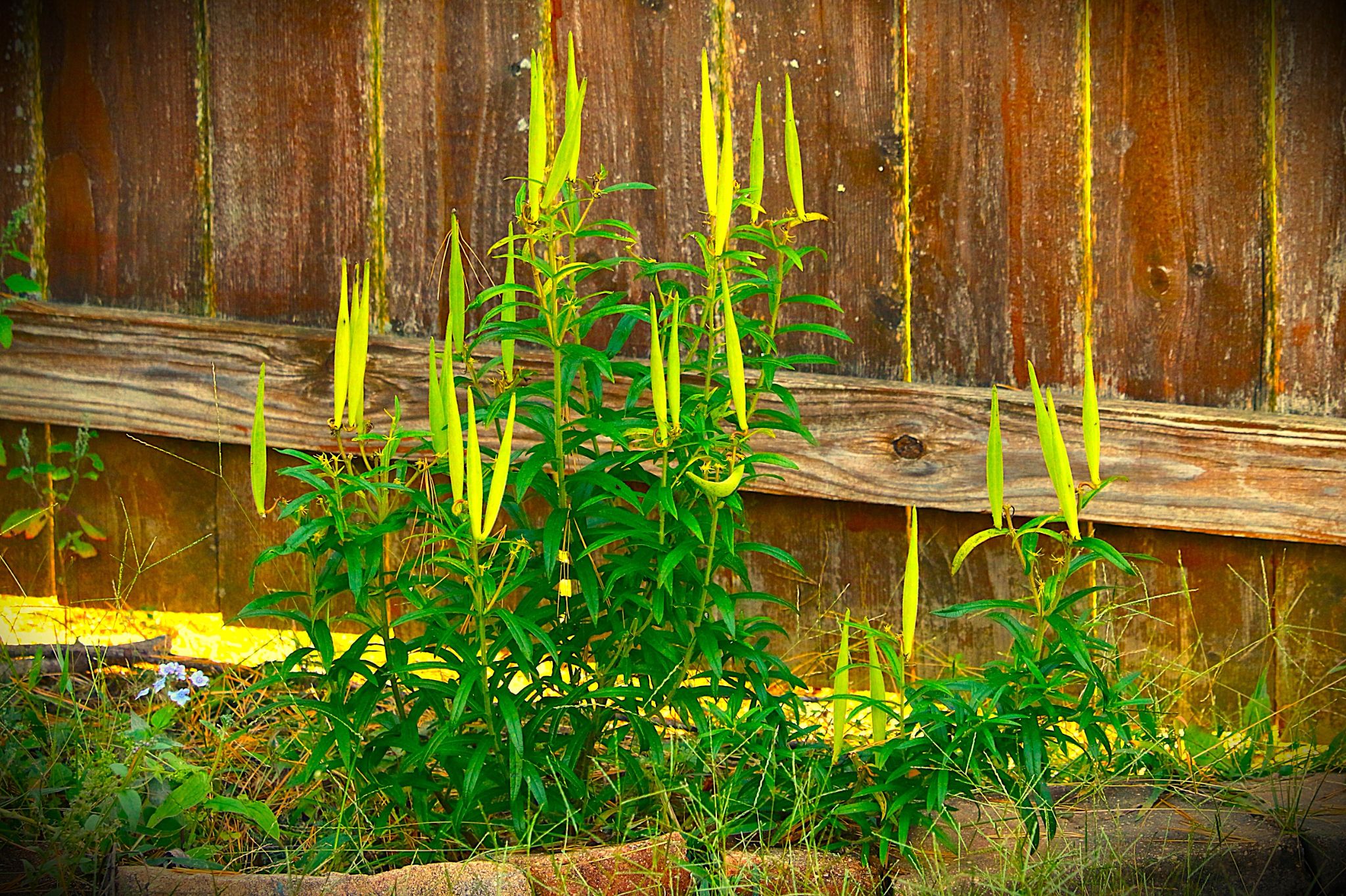 Community photo by Bill Kozar | Taylorsville, Indiana. USA