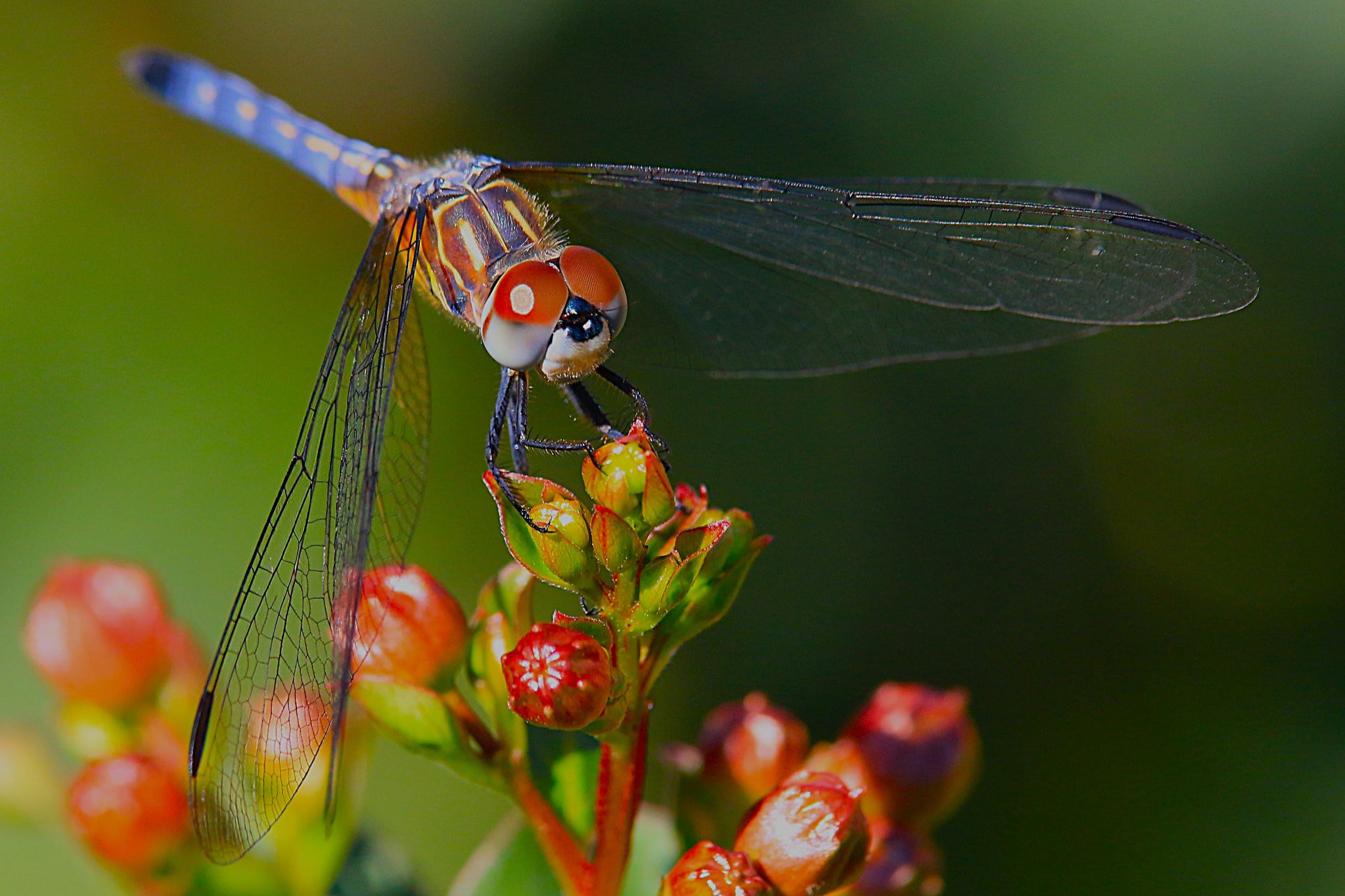 Community photo by Bill