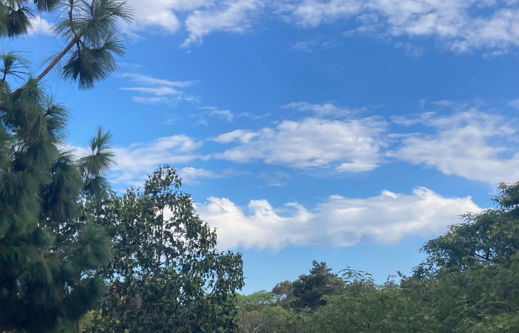 Community photo by calvin