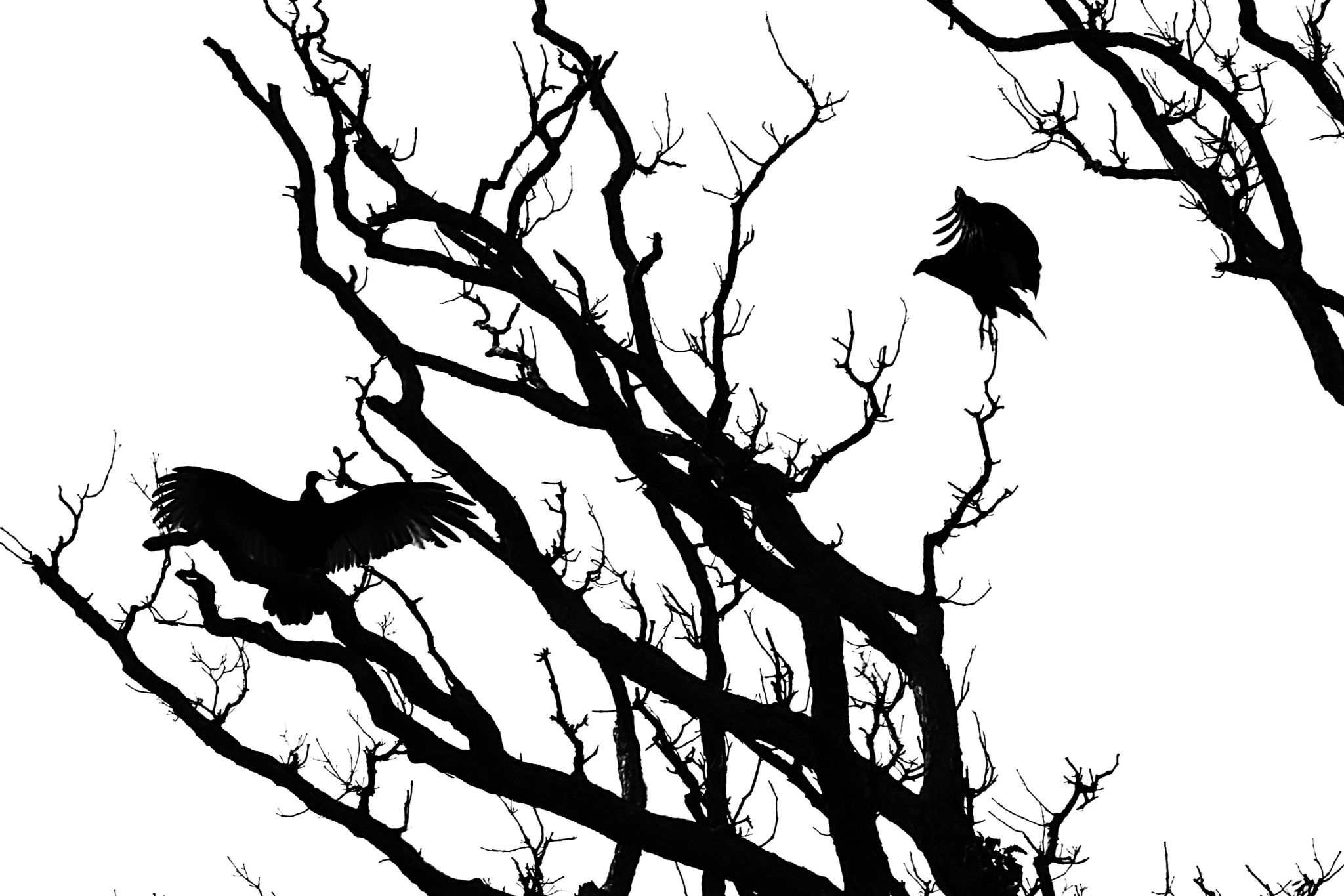 Community photo by Bill Kozar | Taylorsville, Indiana. USA