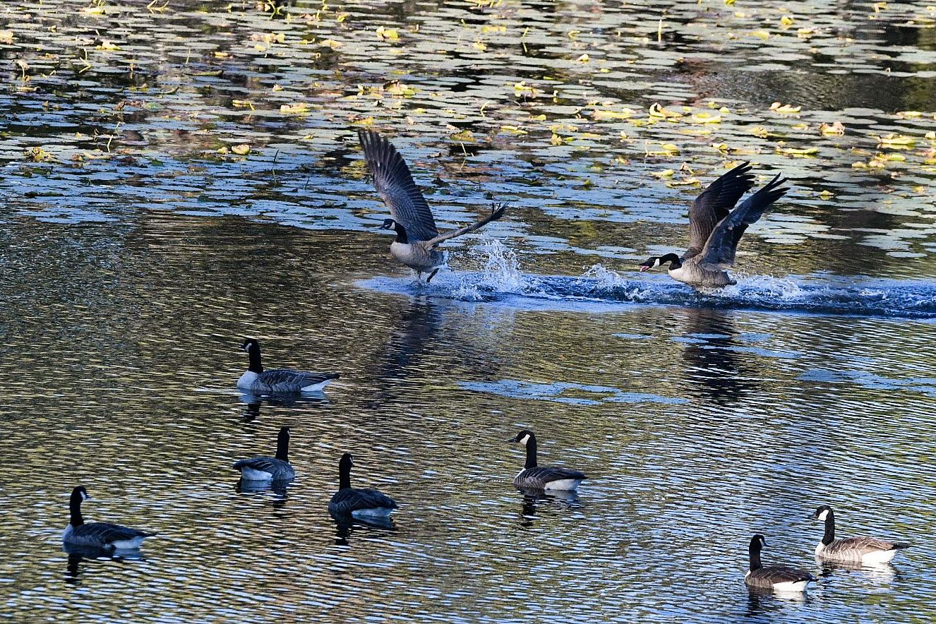 Community photo by Lorraine