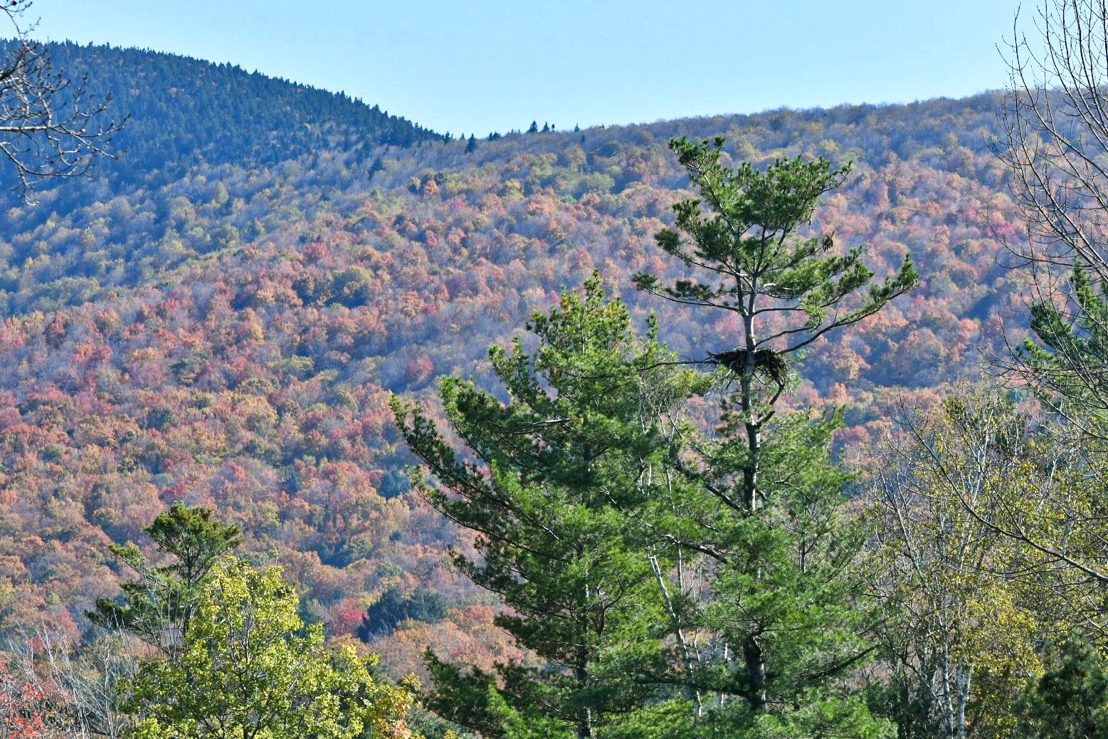 Community photo by Lorraine